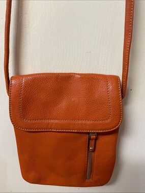 Tignanello Leather Bag